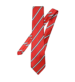 BGS Tie